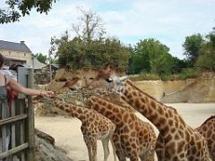 149 BIO PARC DE DOUE LA FONTAINE 2- 2016_000024